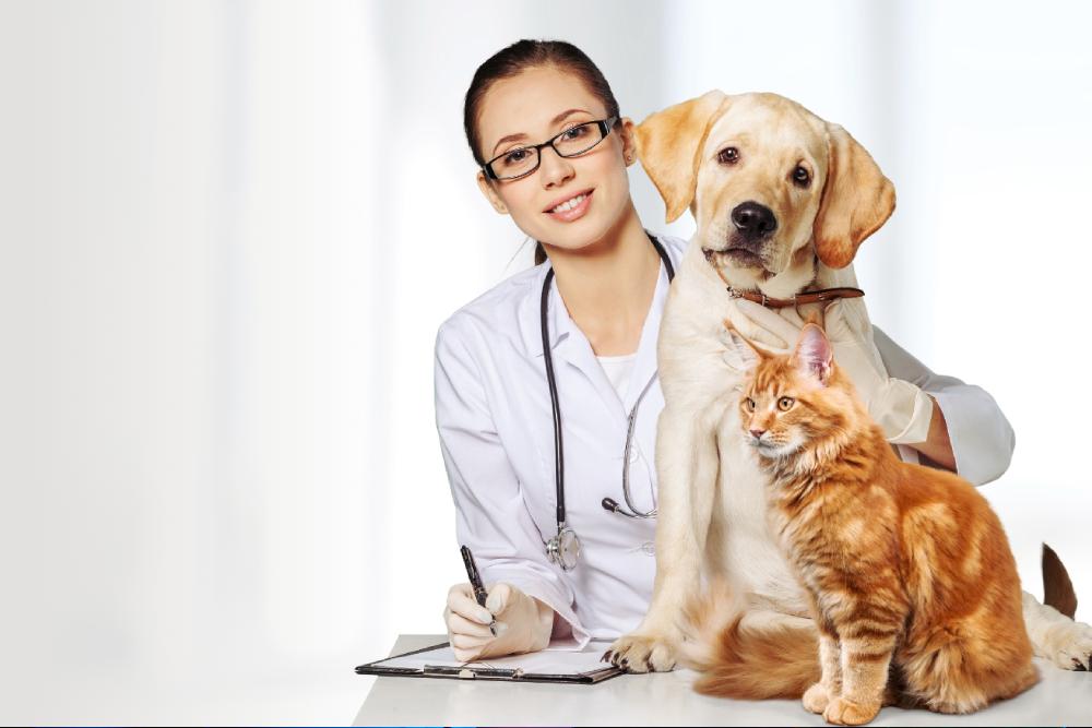 Imagen registro de usuarios